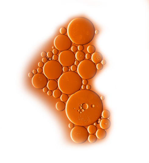 cells2 cells2