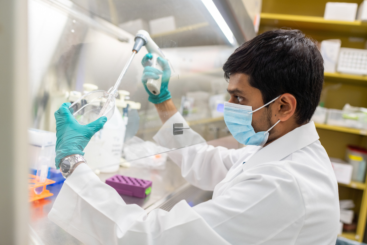 Adithya Gopinath working in the lab of Dr. Habibeh Khoshbouei.