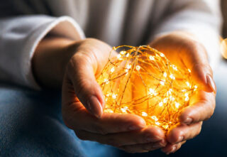 Role of the Karen Toffler Charitable Trust